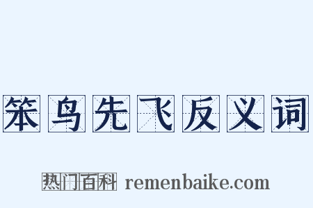 笨鸟先飞反义词是什么意思的图片